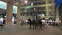 Vienna at night